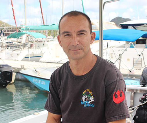 Martin plongeur Martinique